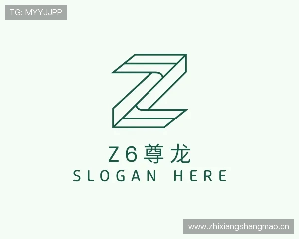 关于Z6尊龙